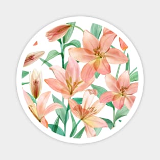 Spring transparent Lily flowers. Translucent watercolor tropical flowers. Spring blossom composition Magnet